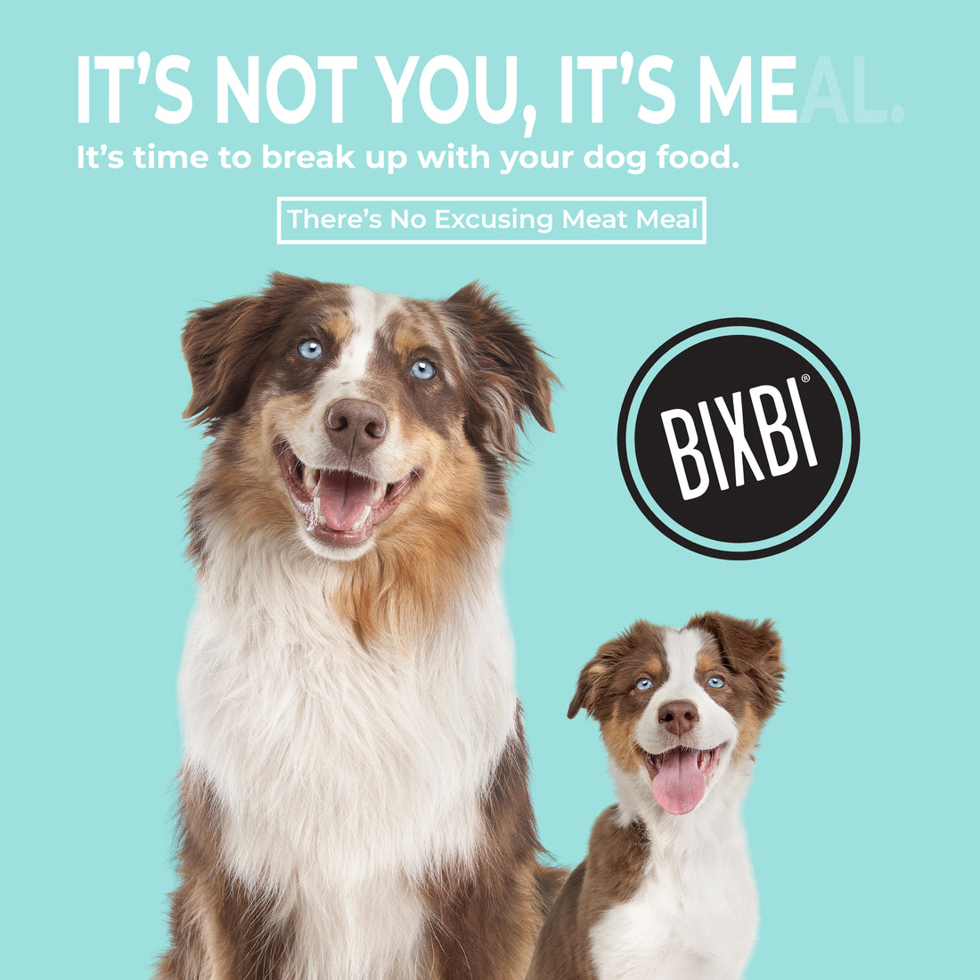 BIXBI 畢克比