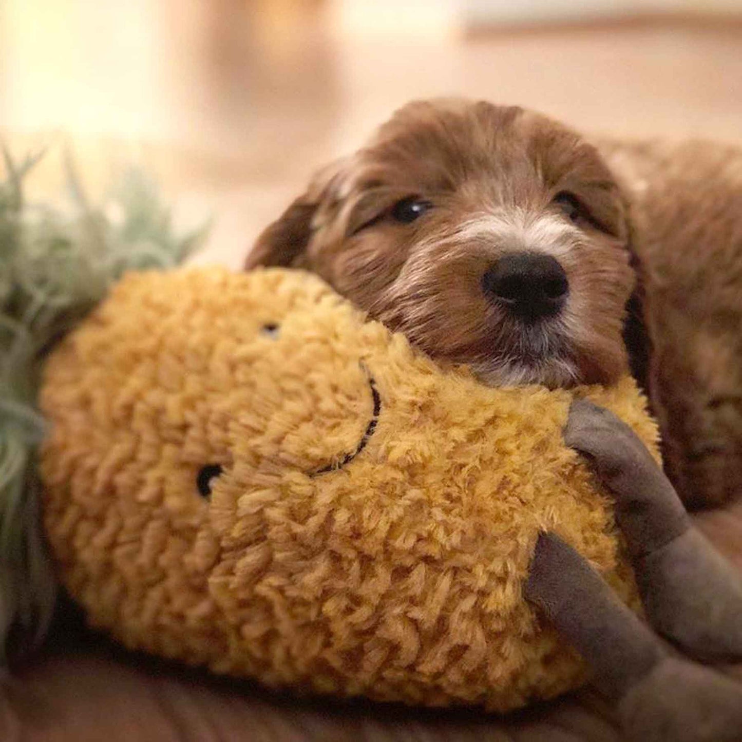 NANDOG 奶狗 My BFF 鳳梨造型玩具