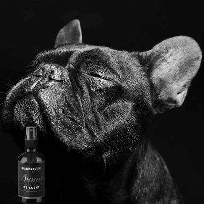 PRIDE+GROOM 普萊德洗沐專家 PROUD THE SCENT 犬用清新除臭噴霧
