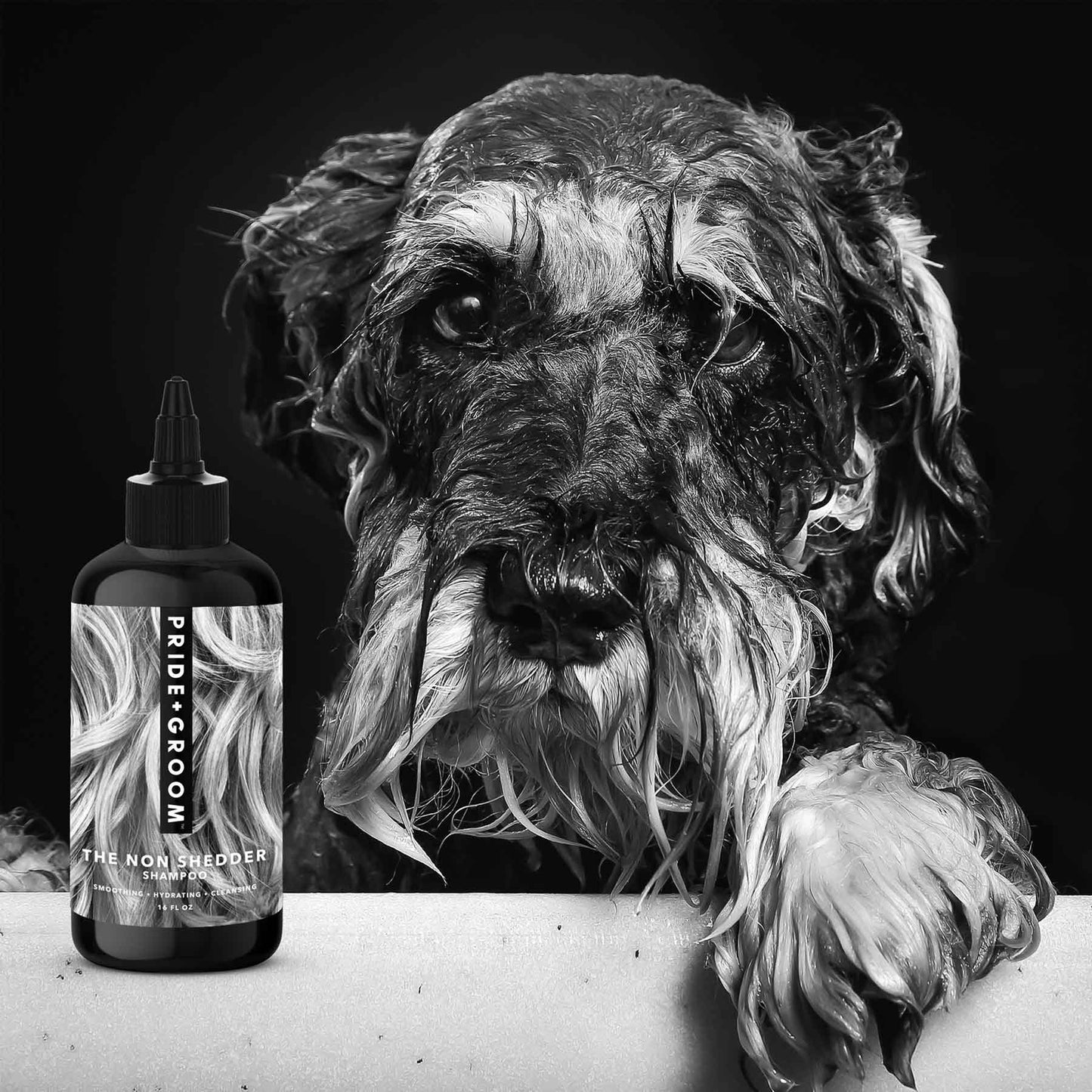 PRIDE+GROOM 普萊德洗沐專家 THE NON SHEDDER 洗毛系列 <給非掉毛犬>